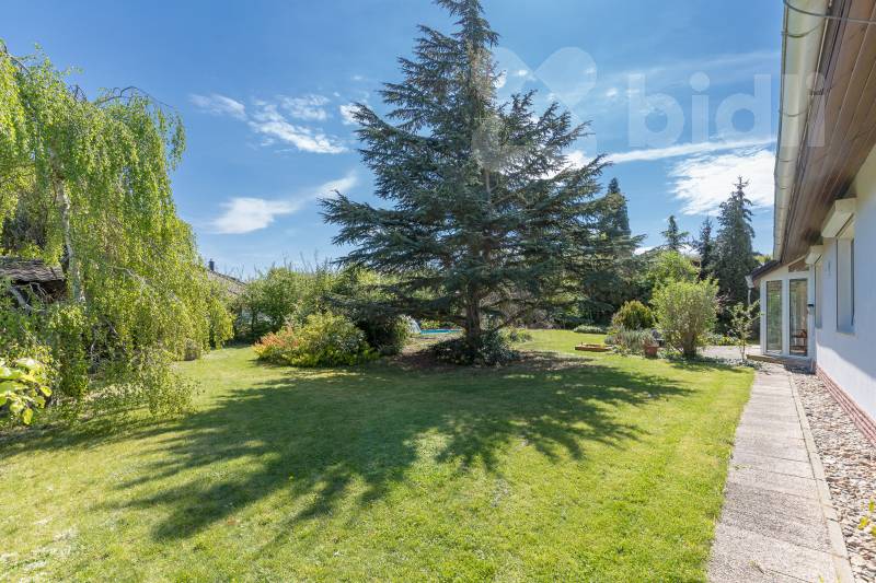 Krásný rodinný dům 5+kk se dvěma koupelnami a bazénem, pozemek 984m2, Zbuzany