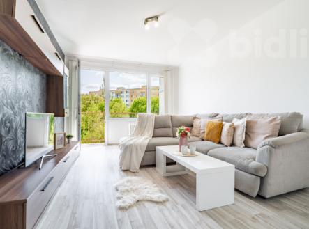 Prodej, byt 2+1 62 m2, Nová, Střekov, Ústí nad Labem | Prodej bytu, 2+1, 62 m²
