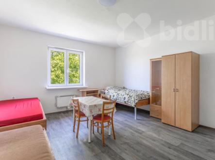 Pronájem v ubytovacím zařízení, Přerov | Pronájem bytu, 1+kk, 18 m²