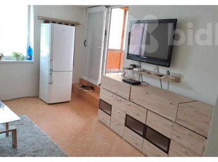 Prodej zahrady 601 m2, se zahradním domkem 40 m2 a garáží 19 m2 | Prodej - chata/rekreační objekt, 80 m²