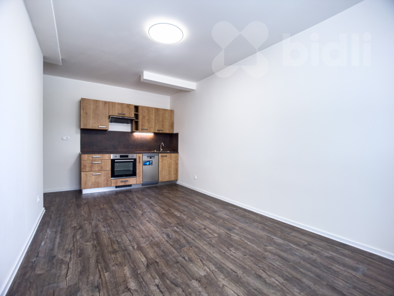 Prodej bytu 1+kk po rekonstrukci, 25,9 m2