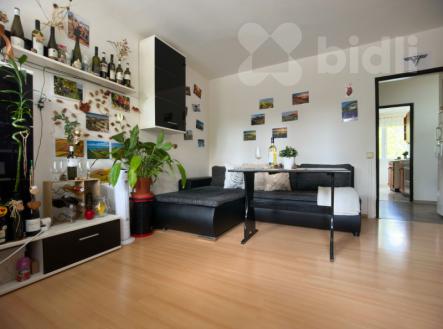 Prodej bytu 3+1 s balkonem, Hradec Králové | Prodej bytu, 3+1, 59 m²