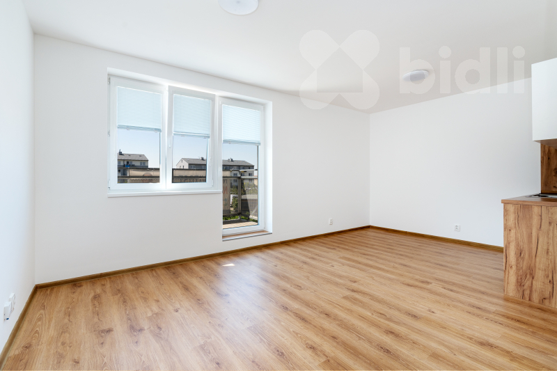 Prodej bytu 1kk / B, 33 m2 / 4 m2, Chýně