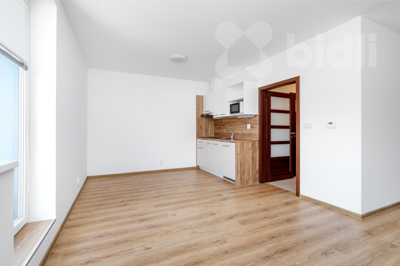 Prodej bytu 1kk / B, 33 m2 / 4 m2, Chýně