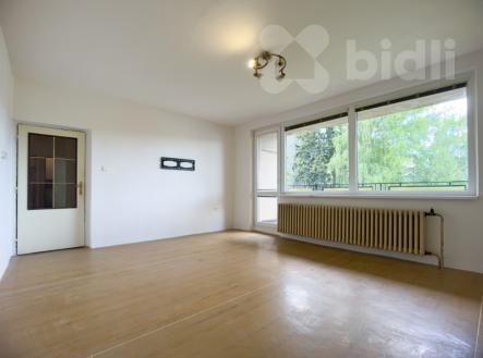 Byt 3+1 75m2 s lodžií, 75 m2, Chmelova - Vysoké Mýto | Prodej bytu, 3+1, 75 m²