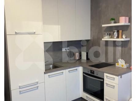 Pronájem zařízeného bytu ve Zlíně | Pronájem bytu, 1+kk, 25 m²