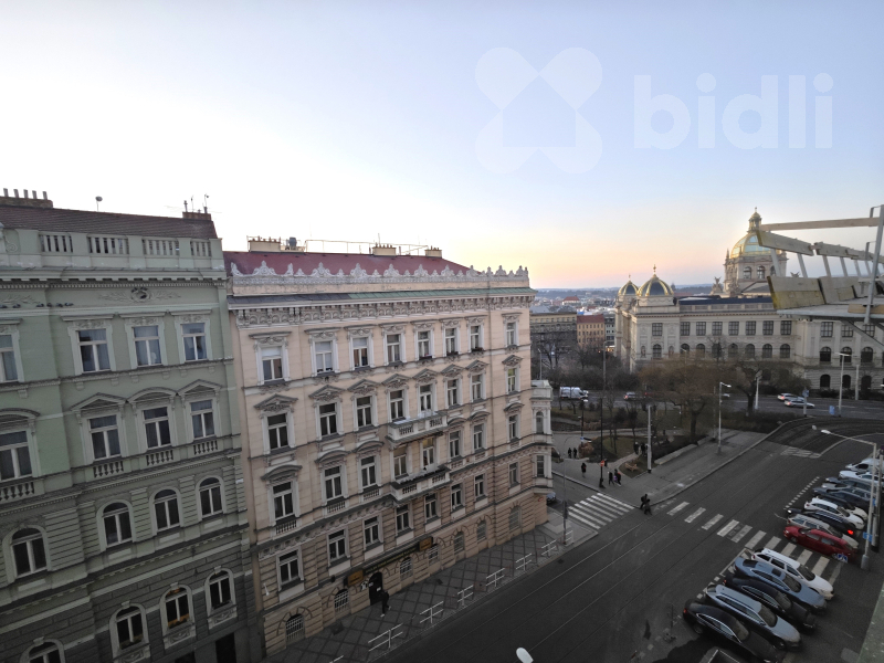 Pronájem prostorného bytu 1+1_51m2_Vinohrady u Muzea_klidná ulice
