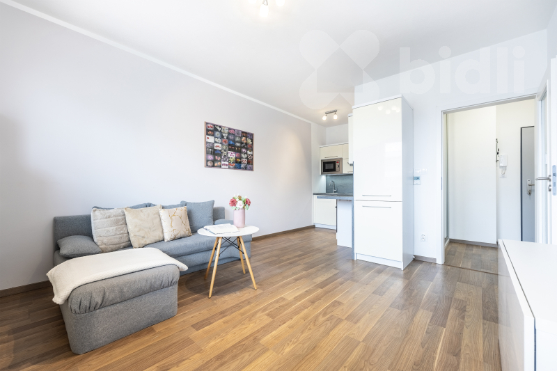 Pronájem bytu 1+kk (30 m&#178;) s lodžií v Přezleticích