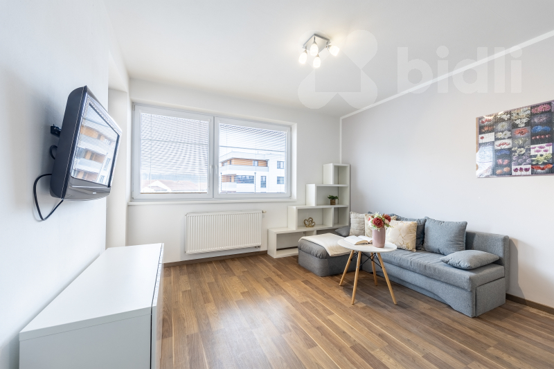 Pronájem bytu 1+kk (30 m²) s lodžií v Přezleticích
