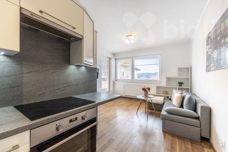 Pronájem bytu 1+kk (30 m²) s lodžií v Přezleticích