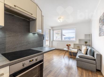 Pronájem bytu 1+kk (30 m²) s lodžií v Přezleticích | Pronájem bytu, 1+kk, 30 m²