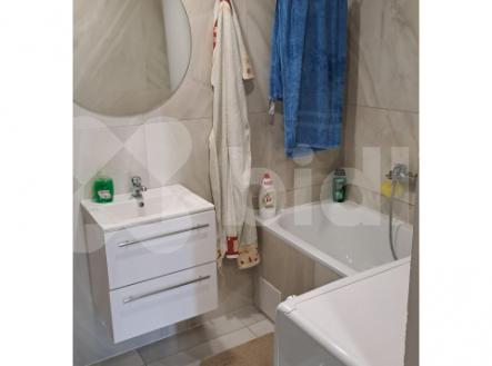 Prodej zahrady 601 m2, se zahradním domkem 40 m2 a garáží 19 m2 | Prodej - malý objekt/garáž