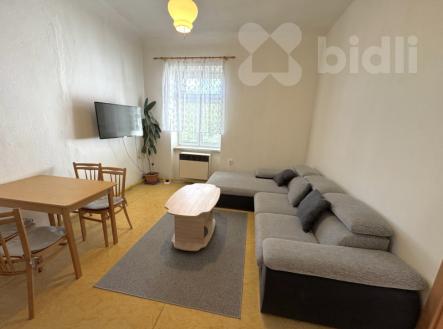 Pronájem bytu 2+1 v centru Českých Budějovic Mariánské náměstí. | Pronájem bytu, 2+1, 42 m²