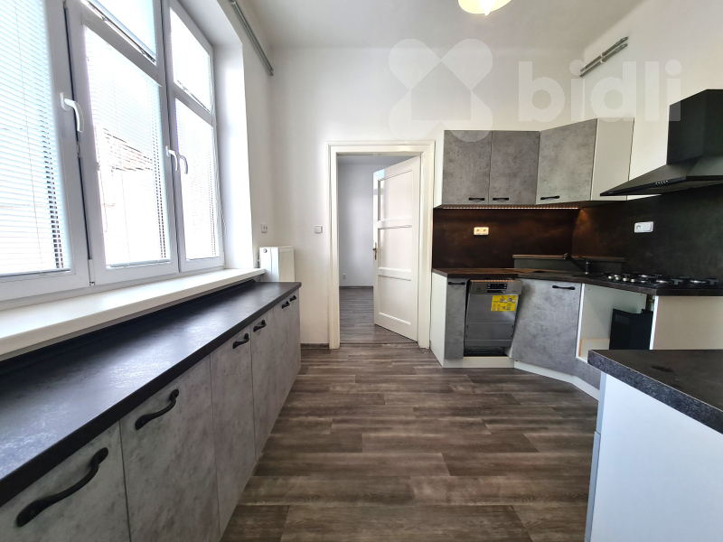 Pronájem bytu, 2+1, 70 m², Těšínská, Ostrava - Radvanice