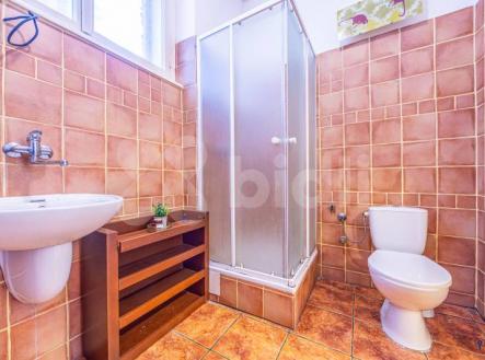 Prodej bytu 3+1 s lodžií centrum Ostravy | Prodej bytu, 3+1, 110 m²