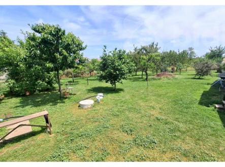 Stavební pozemek 1313m2 - Čejkovice, okres Znojmo | Prodej - pozemek pro bydlení, 1 313 m²