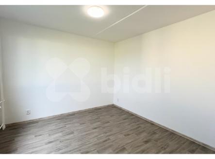 Pronájem bytu 2+1, 43 m2, sklep, balkon v mezipatře | Pronájem bytu, 2+1, 48 m²