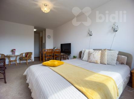 Prodej bytu, 1+1, 42 m² obrázek