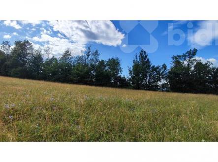 Prodej pozemku pro výstavbu rodinného domu 1437m2 v Krkonoších | Prodej - pozemek pro bydlení, 1 437 m²