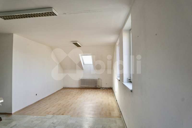 Pronájem, Byt 3+kk, 96m2, Horka - Chrast u Crudimi