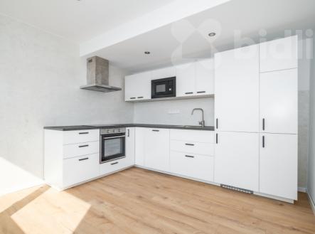 Pronájem, byt 2+kk 44 m2, ulice Stará, Ústí nad Labem | Pronájem bytu, 1+1, 44 m²