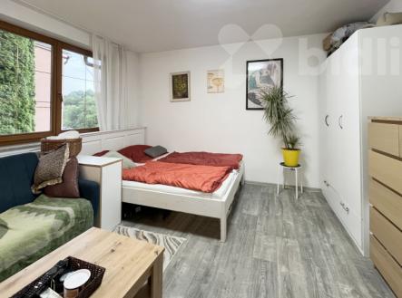 Pronájem bytu 1+1 se zahrádkou v Boršově nad Vltavou | Pronájem bytu, 1+1, 40 m²