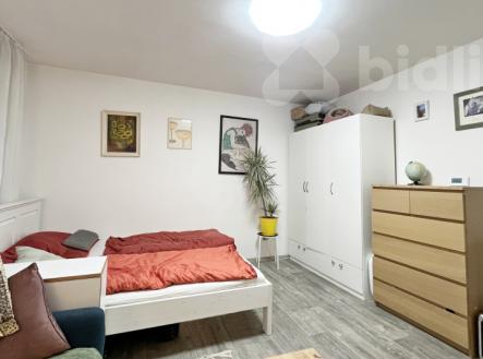 Pronájem bytu 1+1 se zahrádkou v Boršově nad Vltavou | Pronájem bytu, 1+1, 40 m²