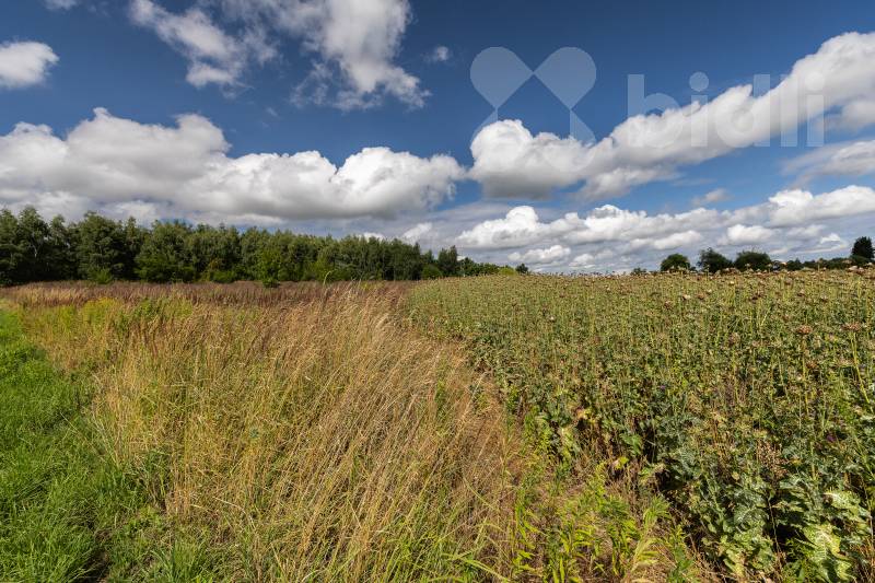 Prodej zemědělské půdy Velké Popovice