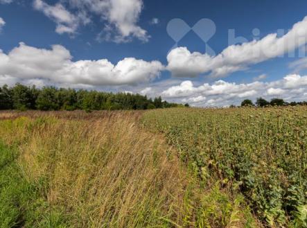 Prodej zemědělské půdy Velké Popovice | Prodej - pozemek, zemědělská půda, 12 088 m²