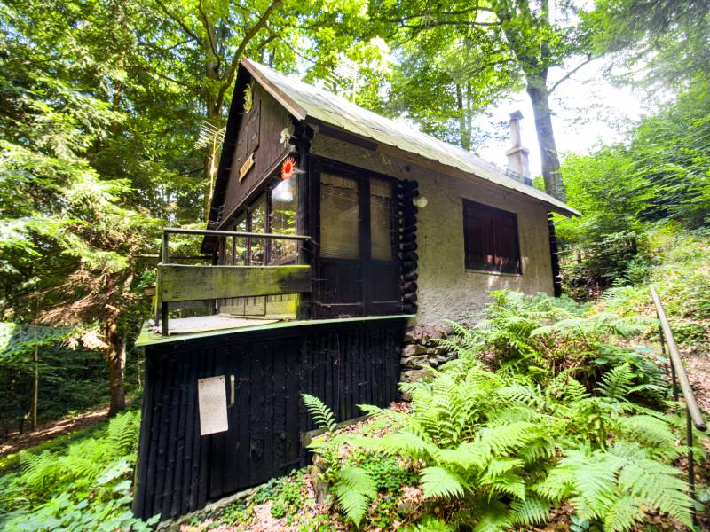 Prodej chaty o velikosti 38 m2 v lese s elektřinou