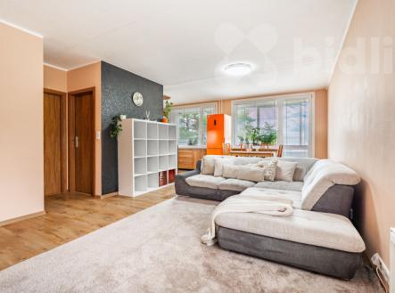 Prodej, byt, 3+KK s lodžií, Jenišovská, Bílina | Prodej bytu, 3+kk, 72 m²