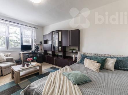 Prodej bytu, 1+1, 36 m² obrázek