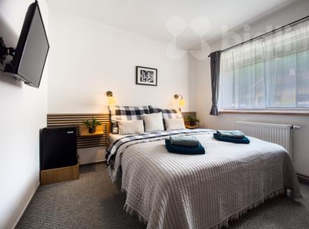 Prodej ubytovacího zařízení 433m2, pozemek 597 m2 | Prodej - penzion, 370 m²