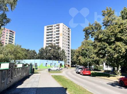 Pronájem bytu 2+1 nedaleko centra Českých Budějovic, ulice Kubatova | Pronájem bytu, 2+1, 58 m²