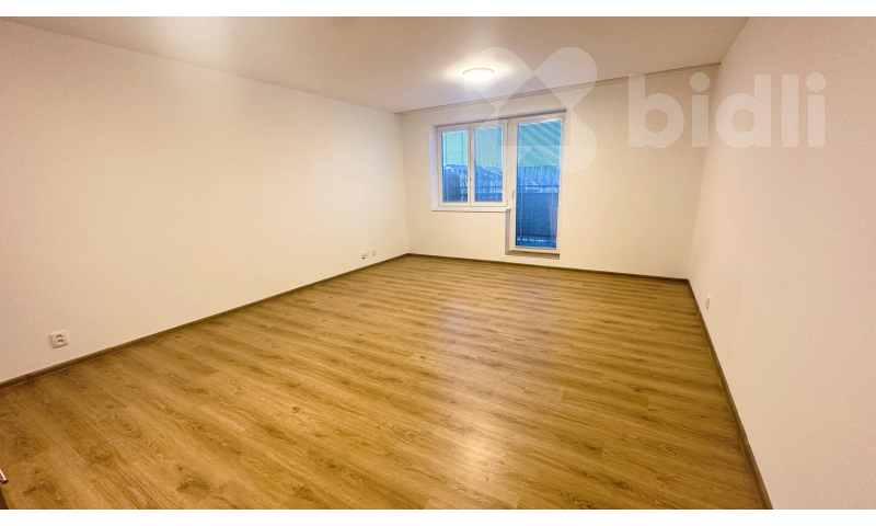 Pronájem bytu 2kk / B, 52 m2 / 4 m2, Chýně