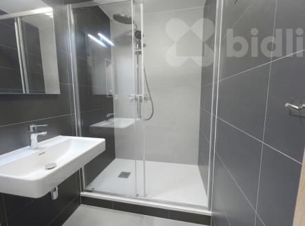 Pronjem bytu 3+1 v České Budějovice, Pražské Předměstí | Pronájem bytu, 3+1, 70 m²