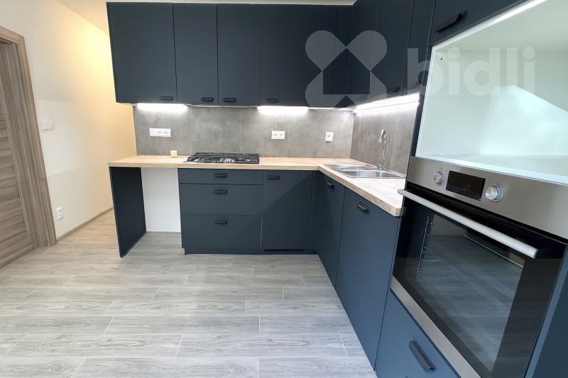 Pronájem bytu 3+1 v České Budějovice, Pražské Předměstí