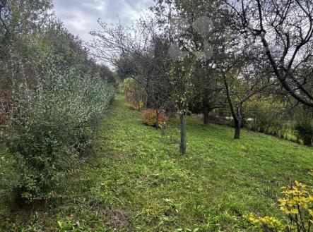 Prodej zahrady-sadu  1872m2, Soběchleby | Prodej - pozemek, zahrada, 1 872 m²