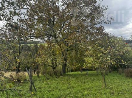 Prodej zahrady-sadu  1872m2, Soběchleby | Prodej - pozemek, zahrada, 1 872 m²