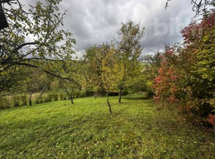 Prodej zahrady-sadu  1872m2, Soběchleby | Prodej - pozemek, zahrada, 1 872 m²