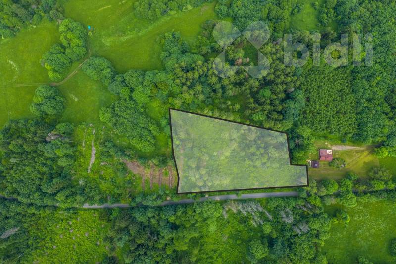 Prodej lesního pozemku 7 528m2 - Chuchelna | Klid, polosamota, investiční příležitost