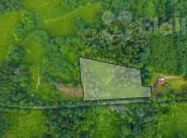 Prodej - pozemek, les, 7 528 m²