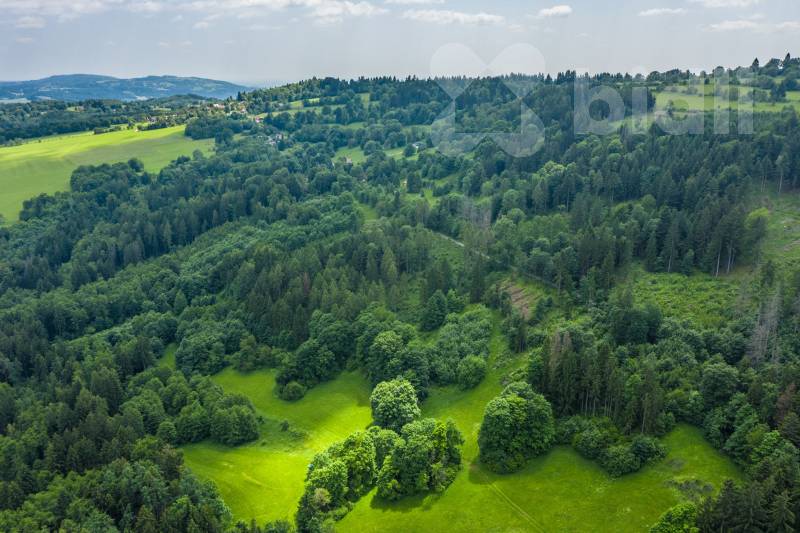 Prodej lesního pozemku 7 528m2 - Chuchelna | Klid, polosamota, investiční příležitost
