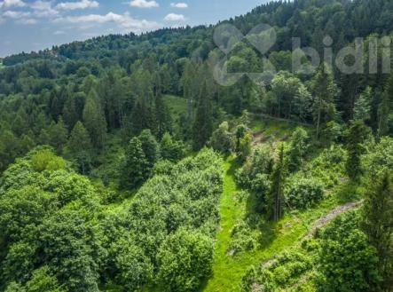Prodej lesního pozemku 7 528m2 - Chuchelna | Klid, polosamota, investiční příležitost | Prodej - pozemek, les, 7 528 m²