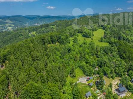 Prodej lesního pozemku 6 085 m2 - Šumburk nad Desnou | Klidné místo v přírodě, ideální pro rekr | Prodej - pozemek, les, 6 085 m²