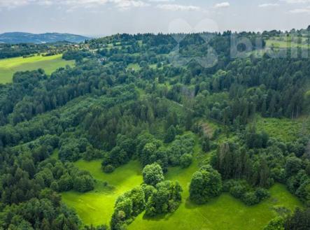 Prodej lesního pozemku 29 930 m2 - Chuchelna | Rozsáhlý les, klid a soukromí, přístup zajištěn | Prodej - pozemek, les, 29 930 m²