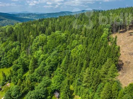 Prodej lesního pozemku 6 696 m&#178; - Šumburk nad Desnou | Klid, soukromí a investice do přírody | Prodej - pozemek, les, 6 696 m²