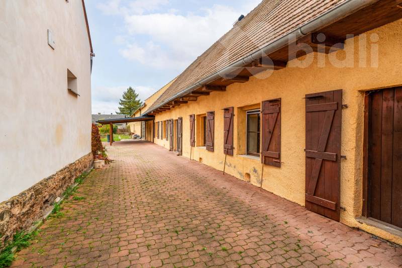 Prodej, RD s bývalým hospodářstvím a zahradou 1 613 m², Novosedly (Pšov)