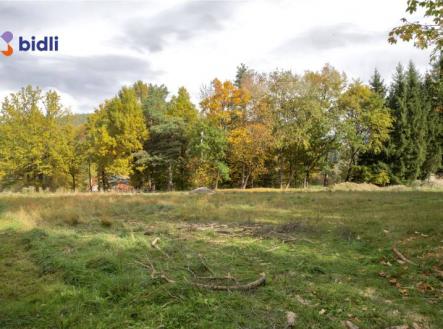 Prodej stavebního pozemku 801 m2, Chlum u Křemže | Prodej - pozemek pro bydlení, 801 m²