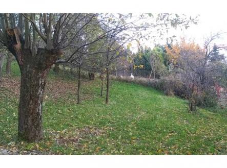 Prodej - pozemek, zahrada, 3 492 m²